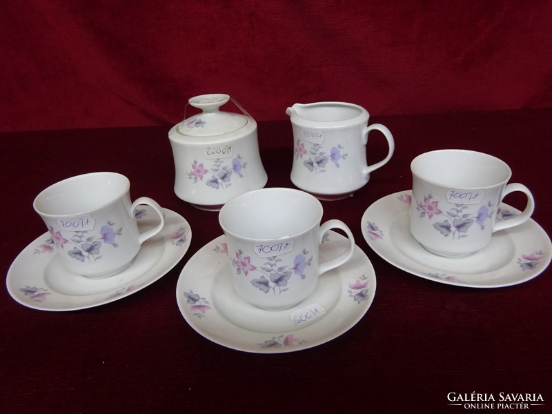 Great Plain porcelain coffee set for three people, 8 pieces. He has!