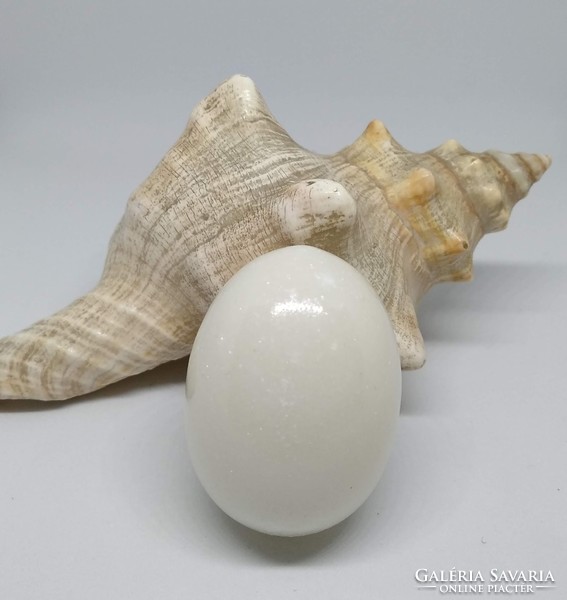 White jade egg, esotericism, medicine + gift wooden holder