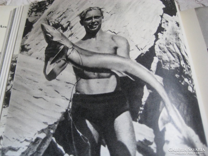 Hans  Haas  :    vadászat a tenger  mélyén   . . 1965.  265 oldalon