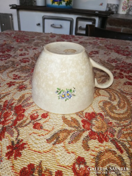 Beautiful old ripe ditmar urbach in flower cup, collectible piece