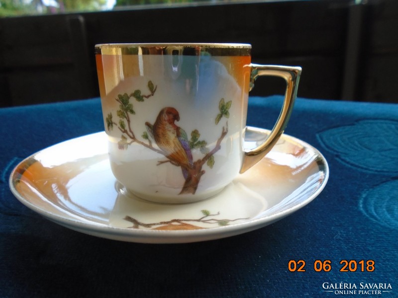 1921 Union k (klosterle) hand painted bird with pearl glazed coffee cup with saucer