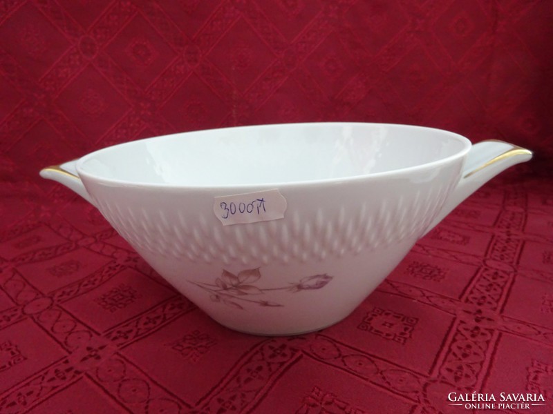 Edelstein bavaria German porcelain garnished bowl with ears, diameter 21 cm. He has!