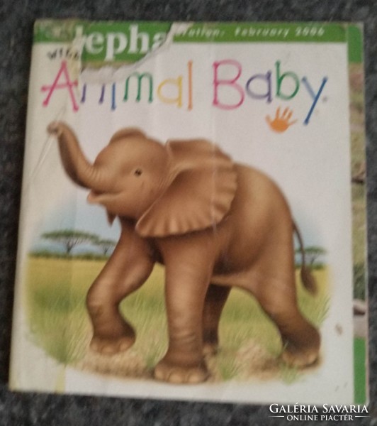 Wild animal baby. Állatos képes és foglalkoztató könyv angolul, alkudható!