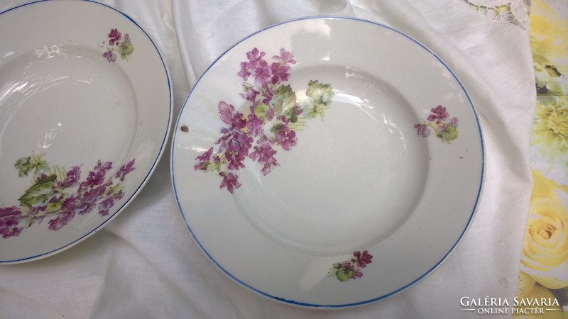 Violet mot. Plate of mice in Czechoslovakia with beautiful old pieces