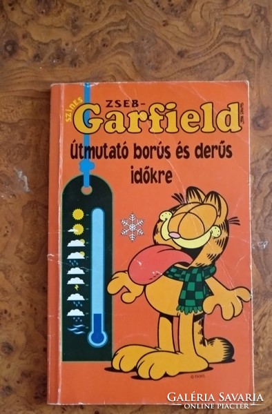 Garfield, Útmutató borús és derűs időkre, alkudható!
