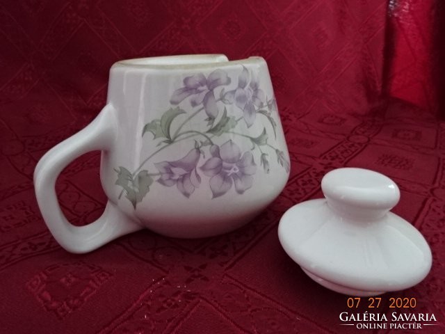Hollóháza porcelain coffee maker spout with purple flowers. He has!