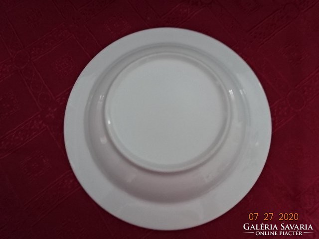 White porcelain deep plate. He has!