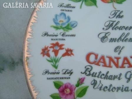 Japanese decorative plate: Canadian flowers