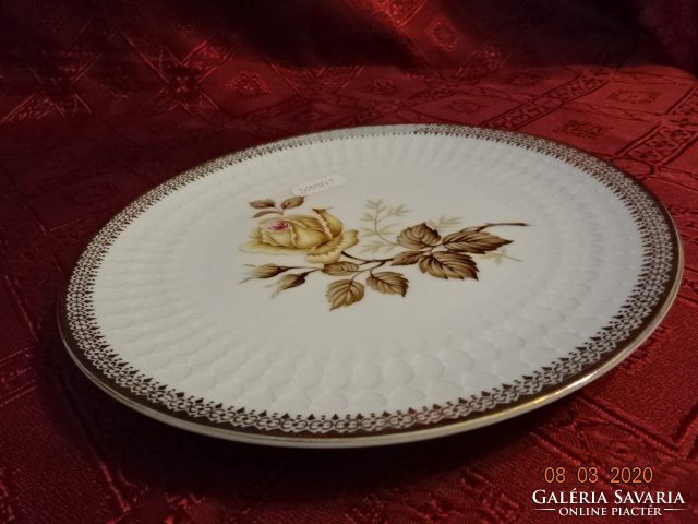 Winterling Bavarian German porcelain cake plate, diameter 19.5 cm. He has!
