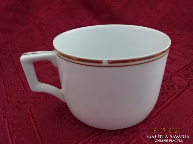 Zsolnay porcelán, antik pajzspecsétes teáscsésze + alátét. Vanneki!