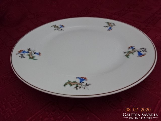 Suisse langenthal Swiss porcelain cake plate. He has!