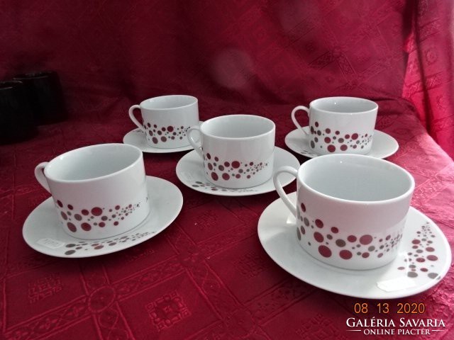 German porcelain brown/grey polka dot tea cup + saucer. He has!