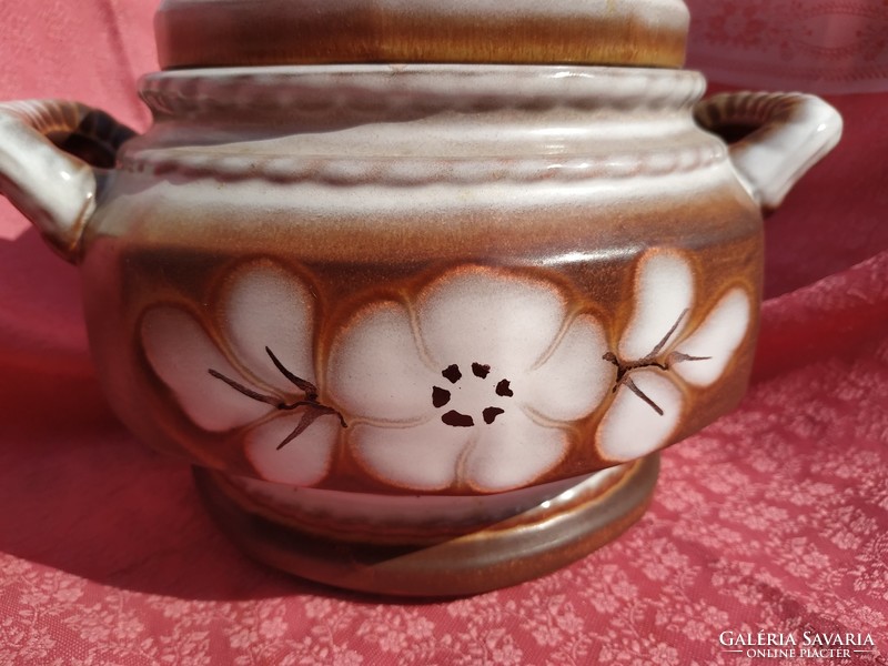 Beautiful ceramic soup bowl with lid