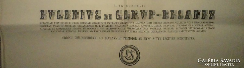 Bajor Egyetemi filozófiai diploma 1860 / 2 db.
