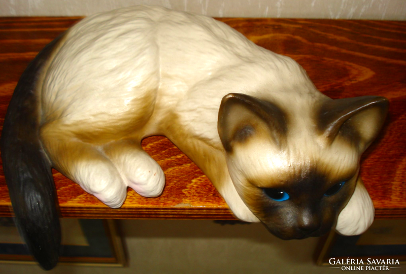 Sziámi macska, polc dekoráció