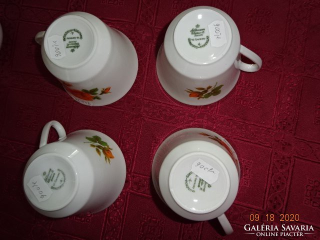 SELTMANN WEIDEN Bavaria német porcelán hat személyes teáskészlet, rózsamintával. Vanneki!