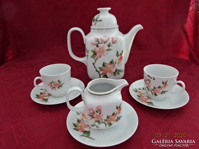Winterling Bavarian German porcelain tea set for two, peach blossom. He has!