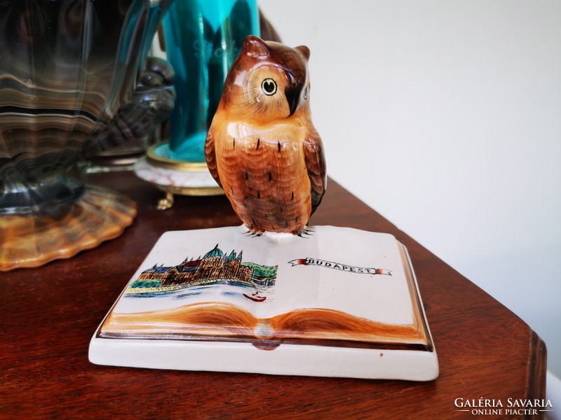Wise owl on a spectacular book in Budapest