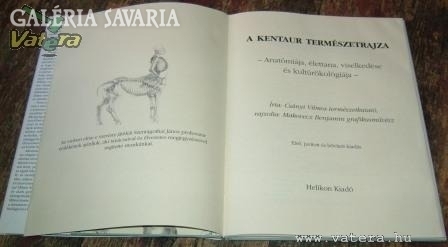 Vilmos Makovecz Csányi: the natural drawing of the centaur