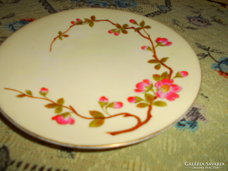Antique carlsbad porcelain hand painted plate