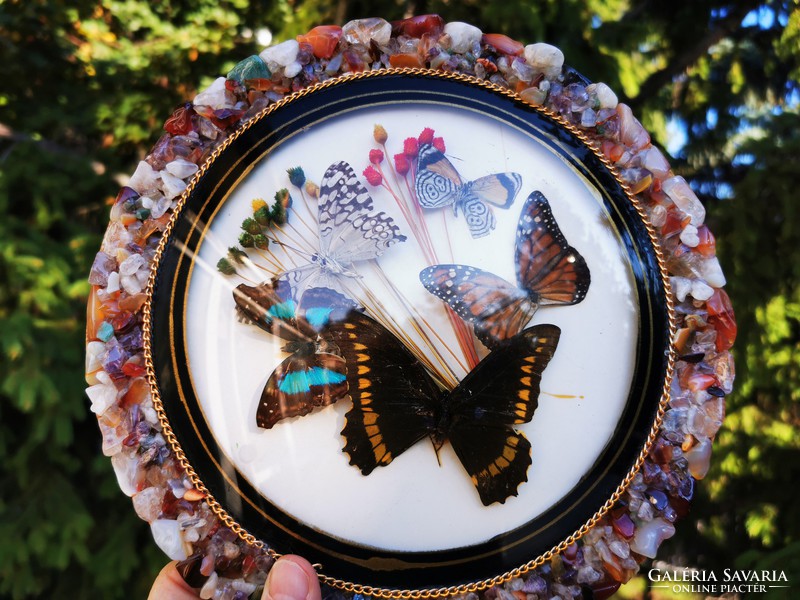 Butterfly wall decoration