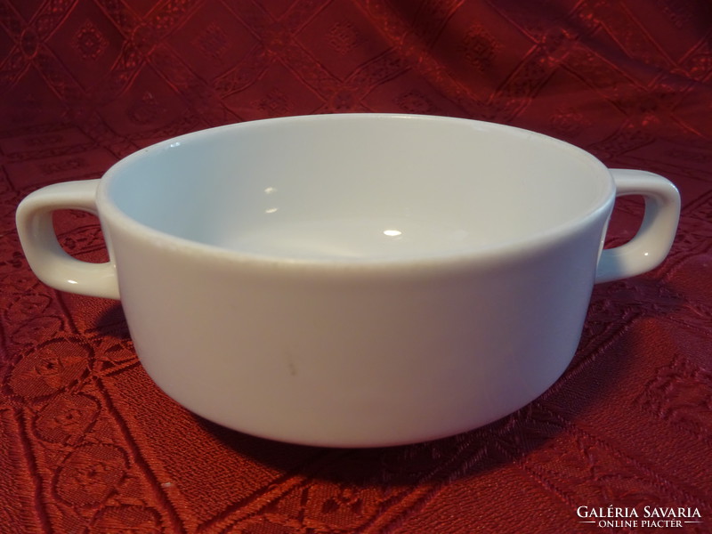 Bauscher bavaria német minőségi porcelán leveses csésze, átmérője 10,7 cm. Vanneki!