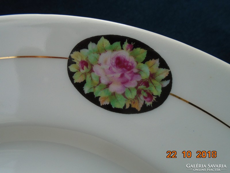 Bécsi rózsás medalionos Elbogen 6 db lapos tányér 24,5 cm