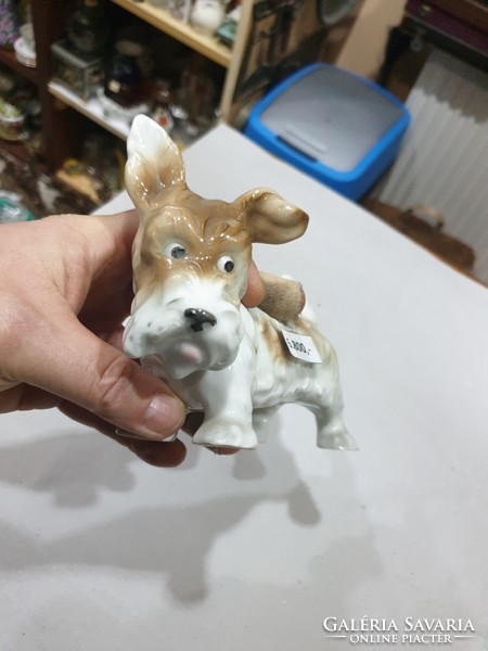 Régi német porcelán kutya 