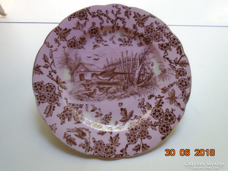 Aranykontúrozott,antik,egyedi festéssel,madár rovar mintás rózsaszín porcelán tányér