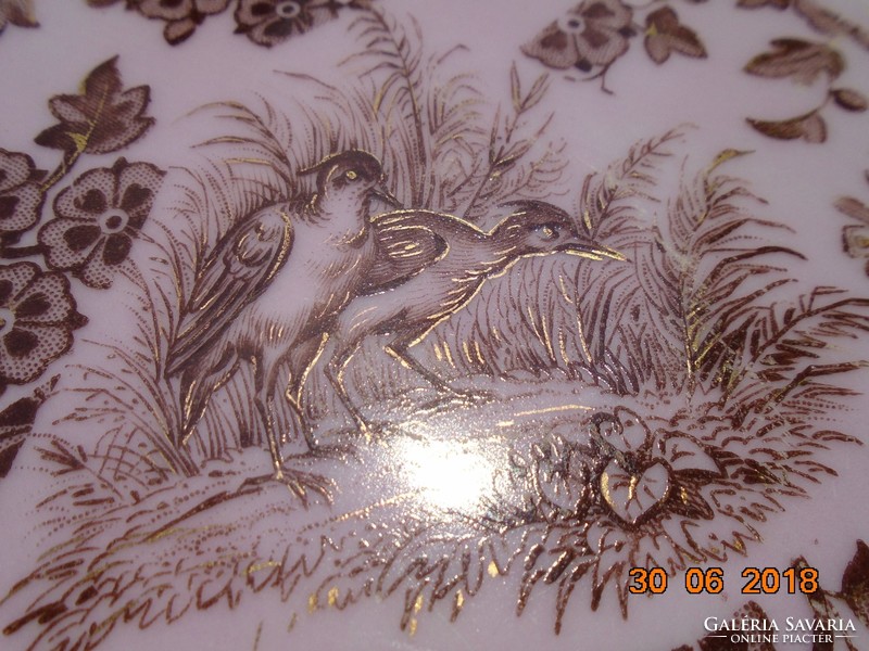 Különleges Rózsaszín mázas aranykontúrozott antik madár rovar mintás tányér