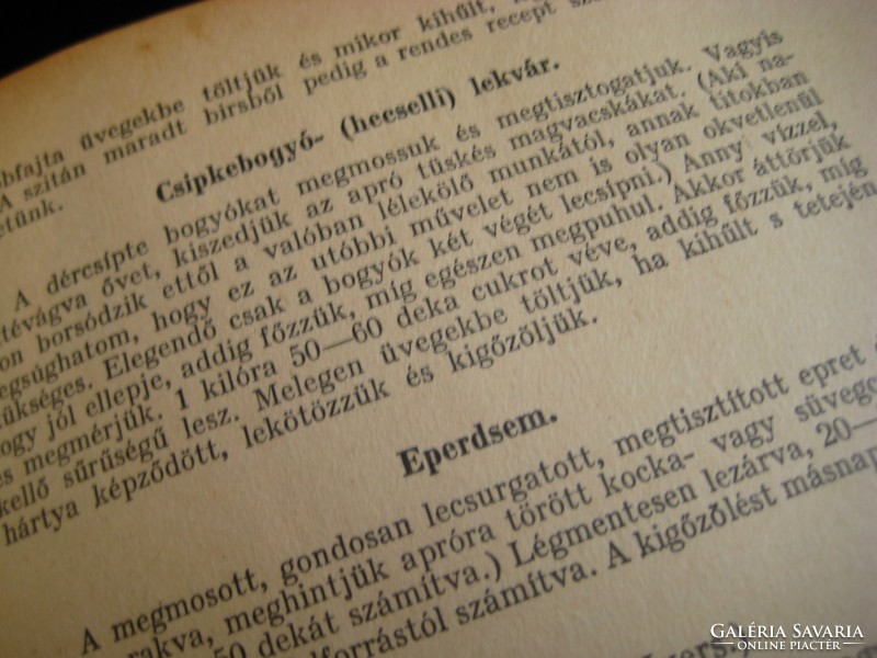Hungarian elek: the 1000 new recipes of the gourmet master 1935