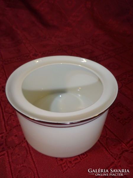 Rosenthal German quality porcelain sugar bowl with silver trim. He has!