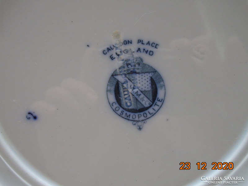 19.S Victorian b.W.M. & Co cauldon deep plate with 