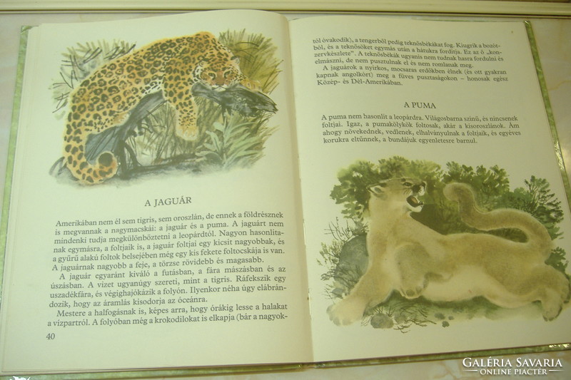 I. The world of animals was drawn by Akimuskin. Kapusztina, 1982