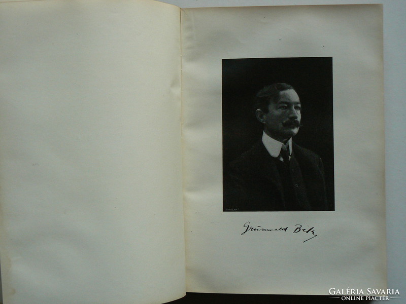A FIATALOK (FERENCZY K. GRÜNWALD B. KATONA N., M.-M. G., RIPPL-RÓNAI) MALONYAY 1906 KÖNYV JÓ ÁLL.BAN