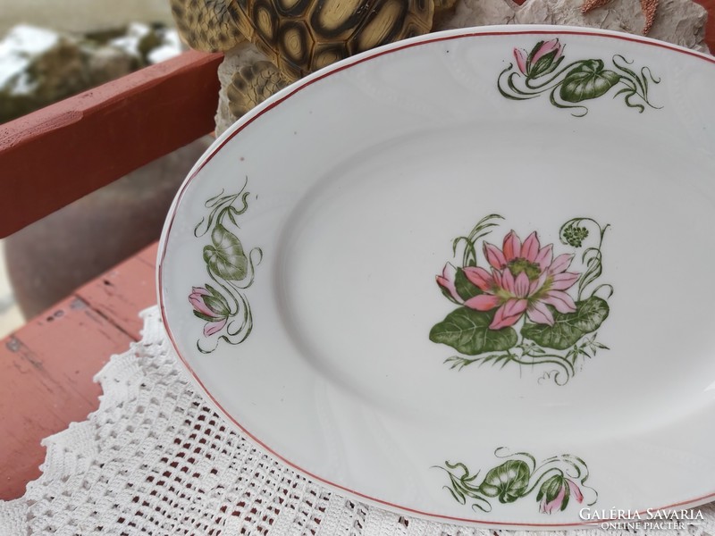 Beautiful waterlily rare Czech porcelain serving roasted fried bowl with rosy floral village peasant