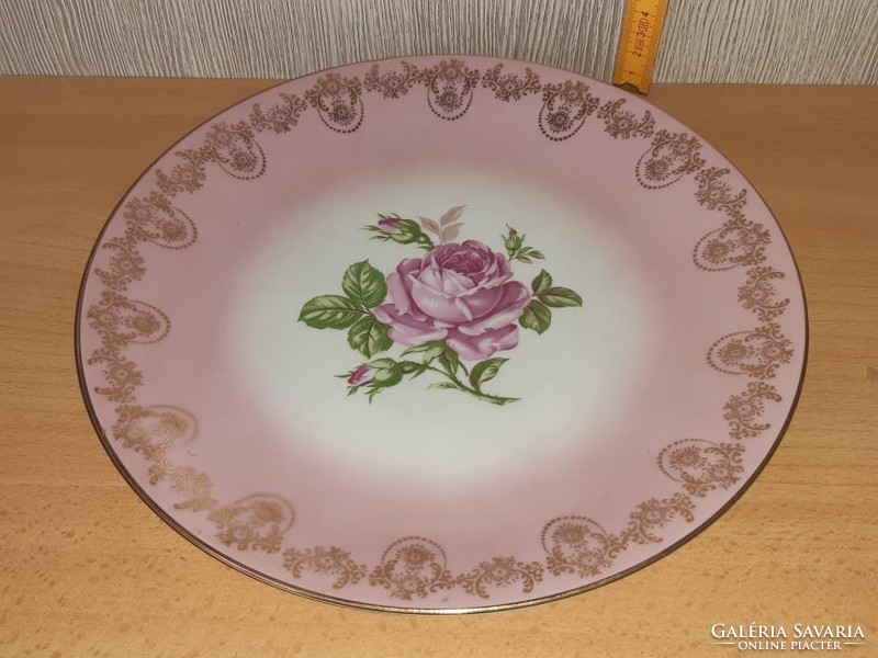 Mz Czechoslovak porcelain decorative plate (circa 1945)