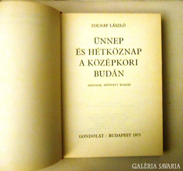 Zolnay László: Ünnep és hétköznap a középkori budán