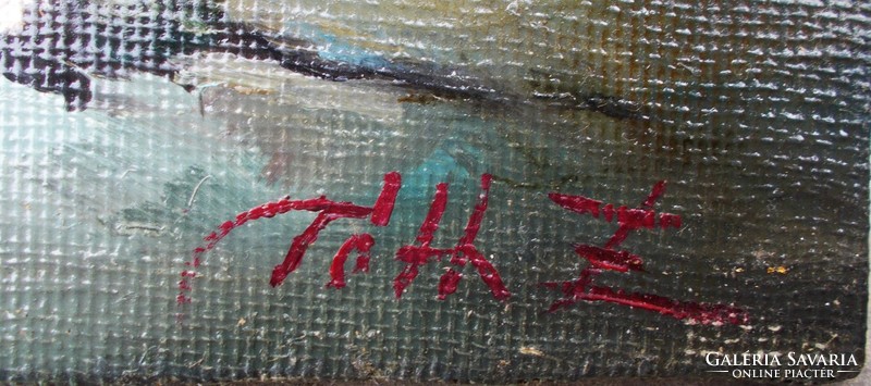 Still life oil canvas tóth z. With a signature