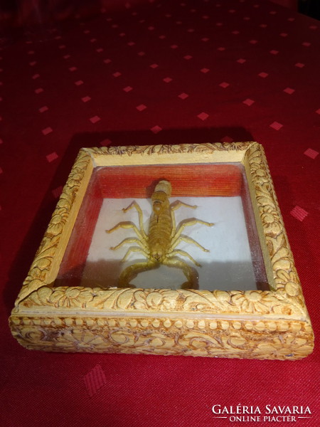 Brown scorpion in a gift box, under a glass plate, size: 11.5 x 11.5 x 4 cm. He has!