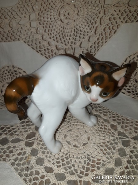 Rosenthal kitten