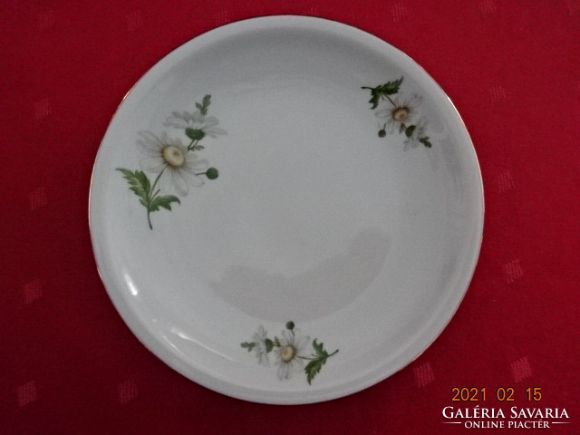 Alföldi porcelán, margaréta virágos süteményes tányér, átmérője 16,5 cm. Vanneki!