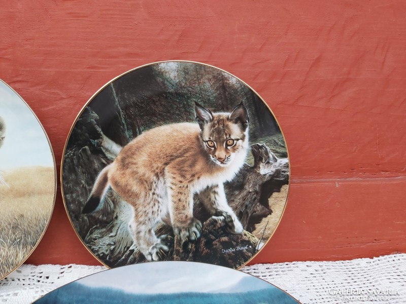 Beautiful wild small wonders of the wild charles frace lynx lion plate decorative plate collector
