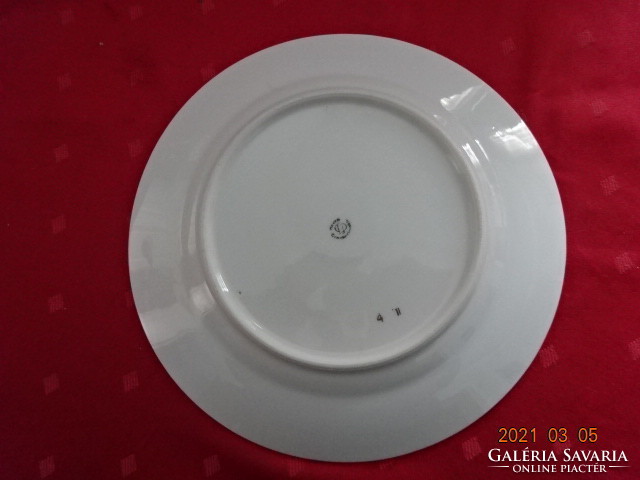 Czechoslovakian porcelain flat plate with gold stripes, diameter 24 cm. He has!