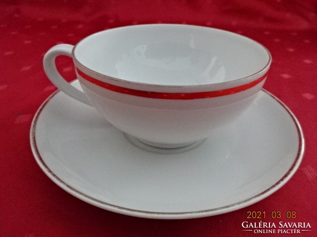 Seltmann bavaria vohenstrauss porcelain teacup + placemat. He has!