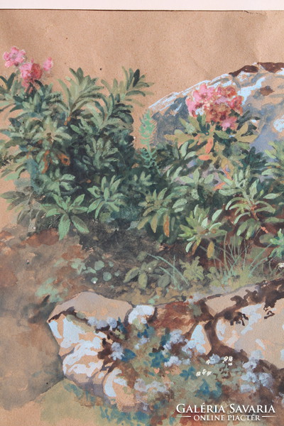 Antique image - flowers among the rocks