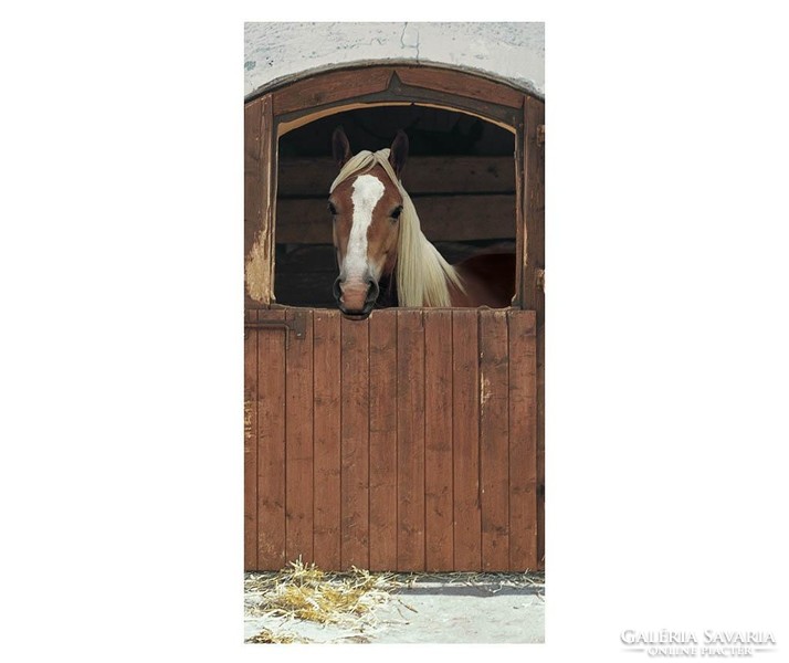 ÚJ!! Horse in Box, ló pajta karám fotótapéta ajtóra/falra 97x220 cm