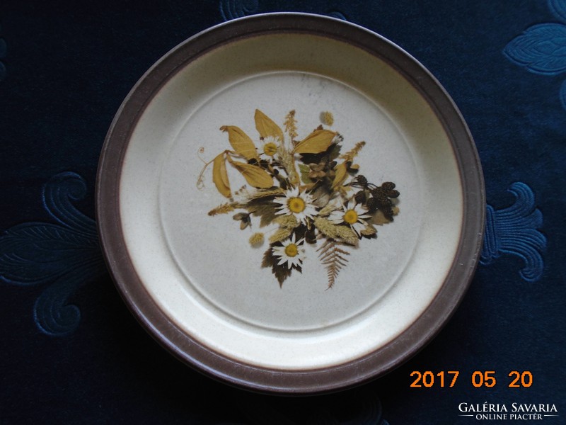 DOVERSTONE Staffordshire vintage Angol porcelán tál mezei virágcsokorral