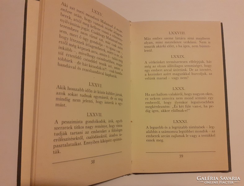 Éva Ancel: one hundred and ninety-four paragraphs about man (velvet binding)