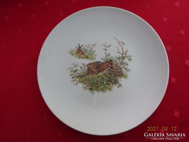 Winterling bavaria quality flat plate with six wild animal motifs. He has!